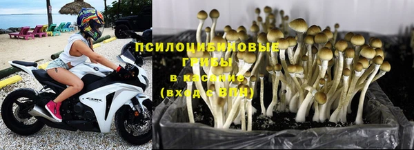 мет Абинск