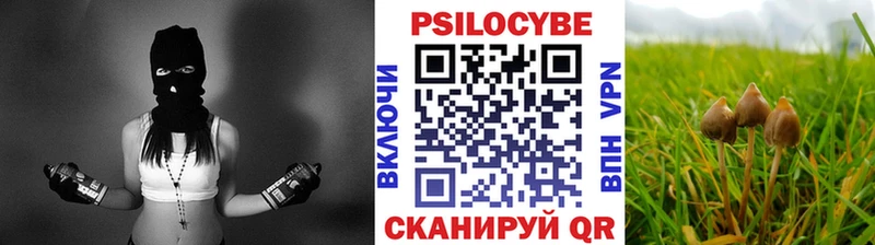 где найти наркотики  Фёдоровский  Псилоцибиновые грибы Magic Shrooms 